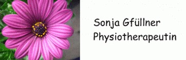 www.gfuellner-physio.de